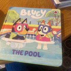 book Bluey the pool