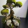 Bonsai Tree with natural moss 45x35cm Image 6