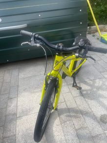 20" Ridgeback