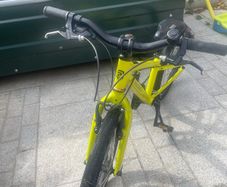 20" Ridgeback