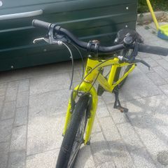 20" Ridgeback