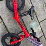 Frog Tadpole 12" Balance Bike Image 3