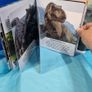 Jurassic World My Busy Books Image 2