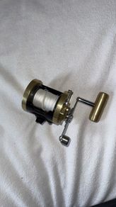 Accurate Accuplates Reel | Vintage Penn Conversion
