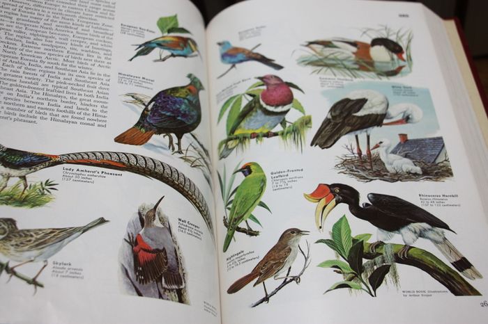 Worldbook Encyclopaedia.