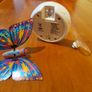 Little live pets - butterfly Image 7