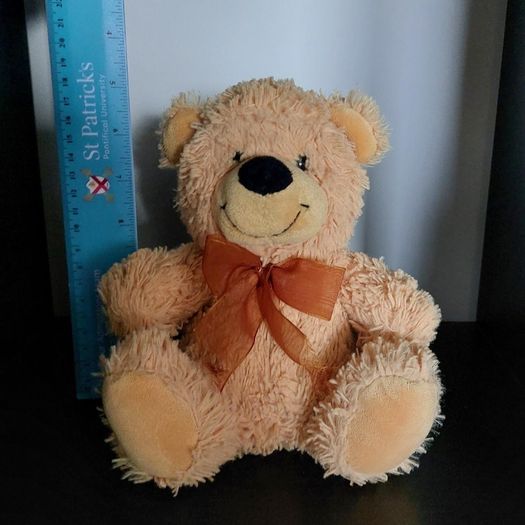 Teddy