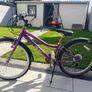 bike Image 2