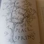 1977 Place of Springs. The story of 100 years of the Province of Maternal Heart. Image 4