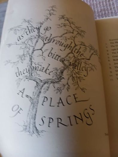 1977 Place of Springs. The story of 100 years of the Province of Maternal Heart.