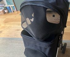 Pet buggy
