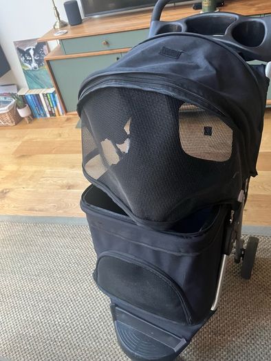 Pet buggy