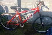 bike large