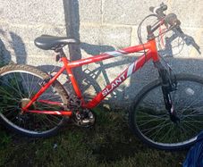 bike large