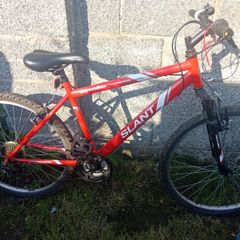 bike large