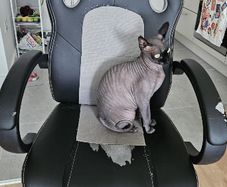 office chair