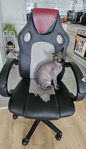 office chair
