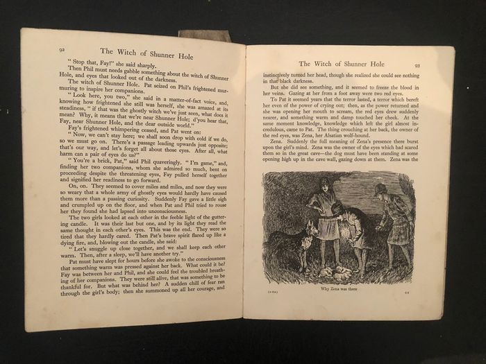 Antique Book The Big Budget For Girls