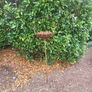 Corten steel Garden Art Image 8