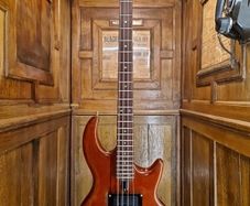Wal Dalmen Custom Bass