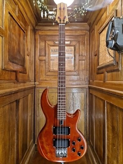 Wal Dalmen Custom Bass