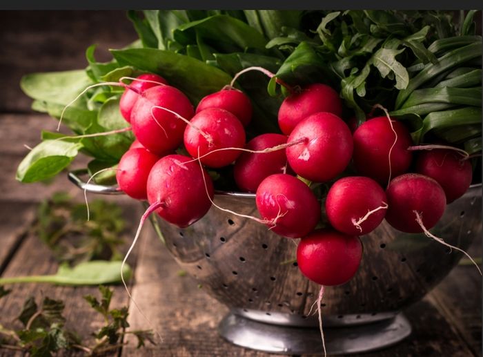 Radish Seeds