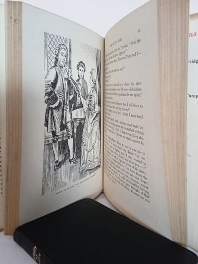 Susanna Campaigns by Marjorie Phillips (HQ824)