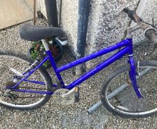 Teenage Girls Bike