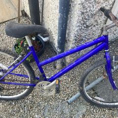 Teenage Girls Bike