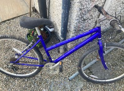 Teenage Girls Bike