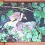 Fauna Postcards Image 2