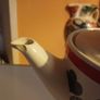 orla kiely teapot Image 2