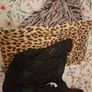 ladies size 8/small bundle Image 2