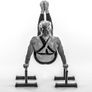 RAMASS Fitness Parallettes Image 4