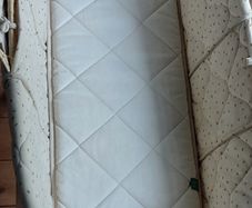 Moses basket