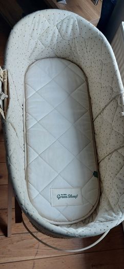 Moses basket