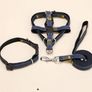 Dog harness+ more sold job lot or in pieces 200 dog harness+ accessories Image 9