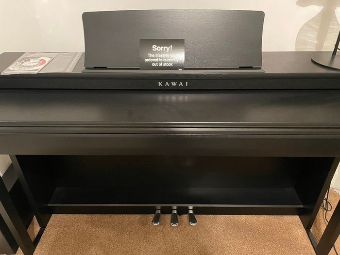 KAWAI CN201 digital piano bundle