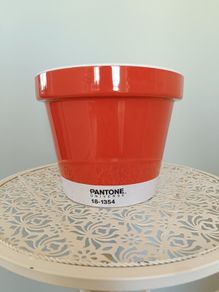 Burnt Ochre Pantone Plant Pot