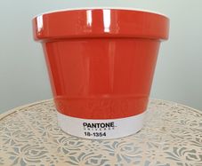 Burnt Ochre Pantone Plant Pot