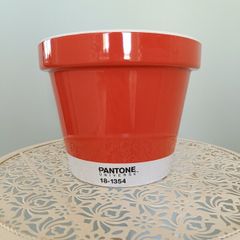 Burnt Ochre Pantone Plant Pot