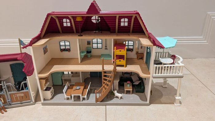 Schleich full set inc accessories