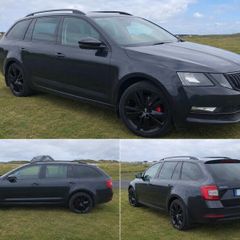 Skoda Octavia - Perfect Taxi or Family car/ swap?