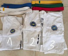 teakwondo