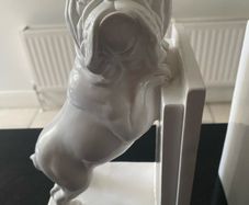 Reduced Pair of 9 inch tall English Bulldog bookends