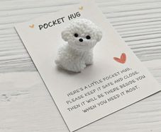 Pocket Hug