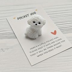 Pocket Hug