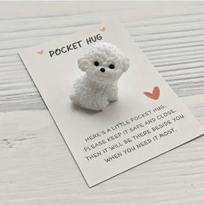 Pocket Hug