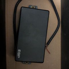 ESP Bridge Pickup