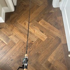 Fishing rod